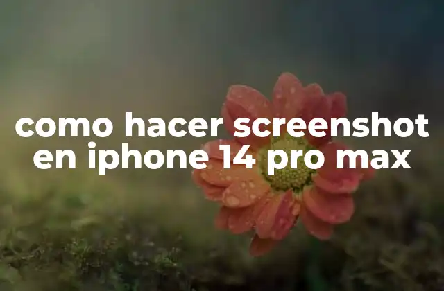 Como Hacer Screenshot en Iphone 14 Pro Max