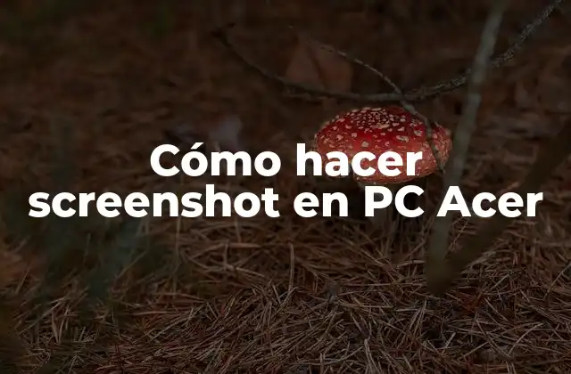 Cómo hacer screenshot en PC Acer