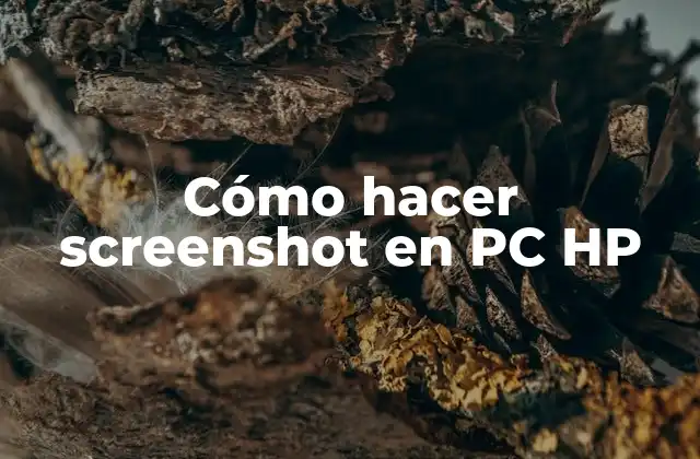 Cómo Hacer Screenshot en Pc Hp