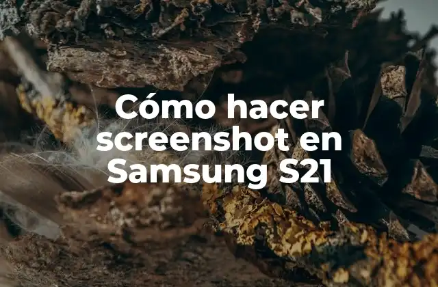 Cómo Hacer Screenshot en Samsung S21