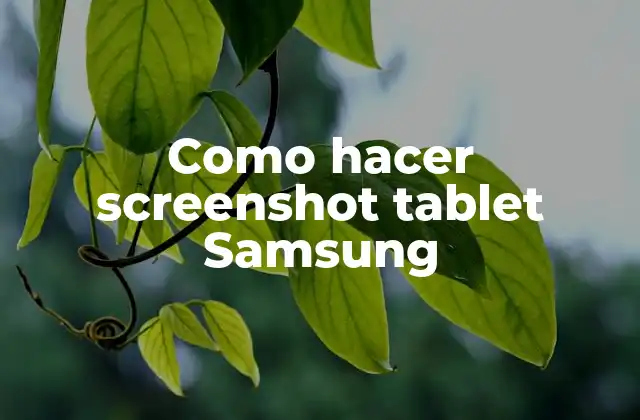 Como Hacer Screenshot Tablet Samsung