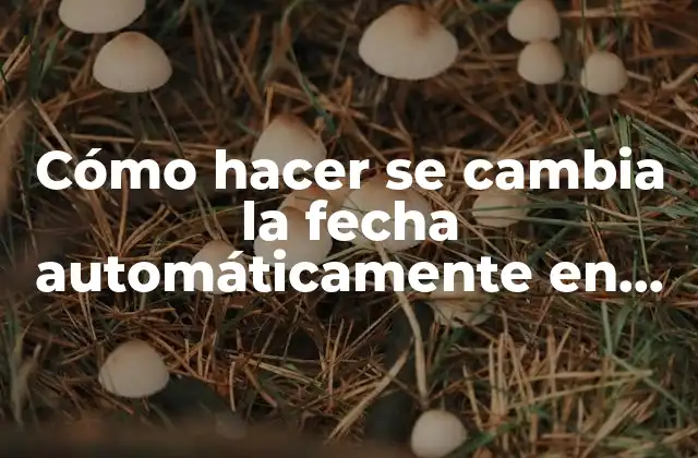 Cómo Hacer Se Cambia la Fecha Automáticamente en Excel