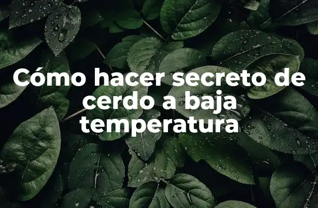 Cómo Hacer Secreto de Cerdo a Baja Temperatura