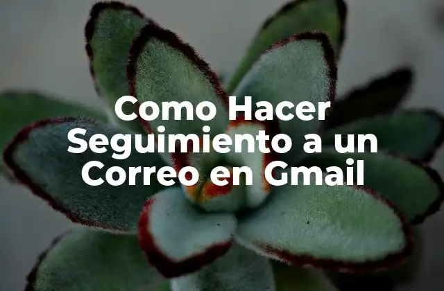 Como Hacer Seguimiento a un Correo en Gmail