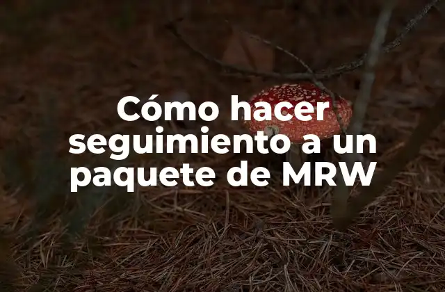 Cómo Hacer Seguimiento a un Paquete de Mrw
