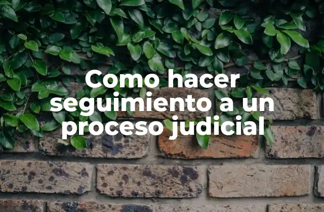 Como Hacer Seguimiento a un Proceso Judicial