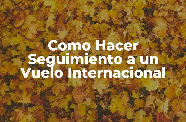 Como Hacer Seguimiento a un Vuelo Internacional 2 ¿Qué es el Seguimiento de Vuelos Internacionales?