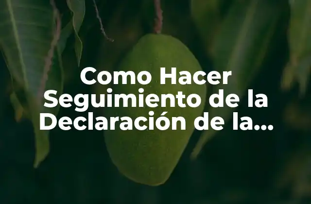 ¿Qué es el Seguimiento de la Declaración de la Renta?