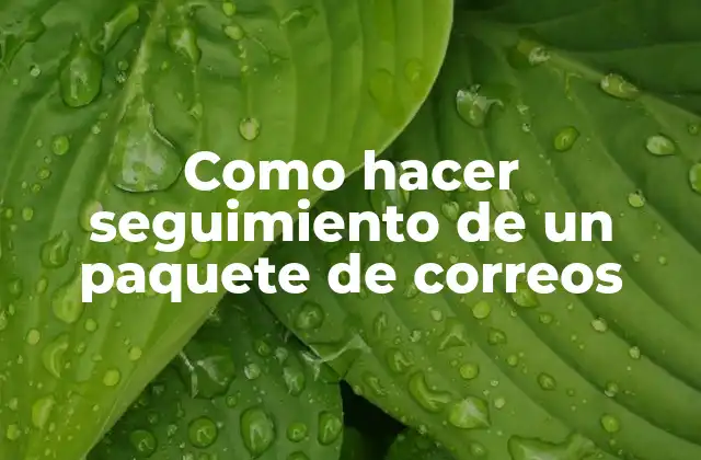 Como Hacer Seguimiento de un Paquete de Correos