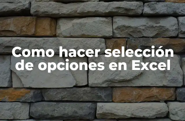 Como Hacer Selección de Opciones en Excel