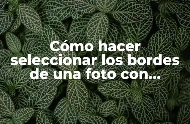 Cómo Hacer Seleccionar los Bordes de una Foto con Photoshop