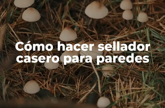 Cómo Hacer Sellador Casero para Paredes