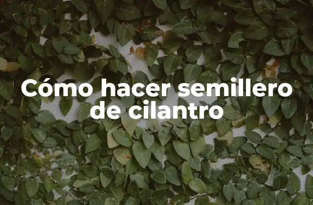 Cómo hacer semillero de cilantro