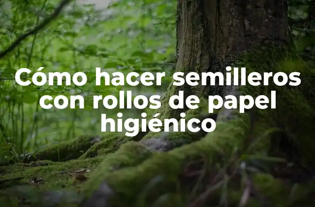 Cómo Hacer Semilleros con Rollos de Papel Higiénico