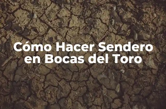 Cómo Hacer Sendero en Bocas Del Toro