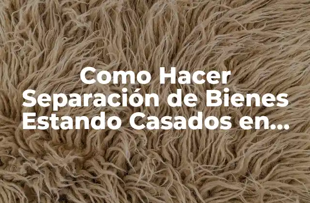 Como Hacer Separación de Bienes Estando Casados en Chile