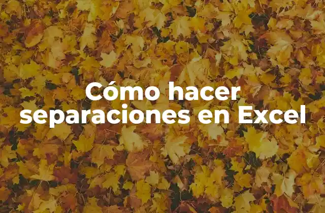 Cómo Hacer Separaciones en Excel