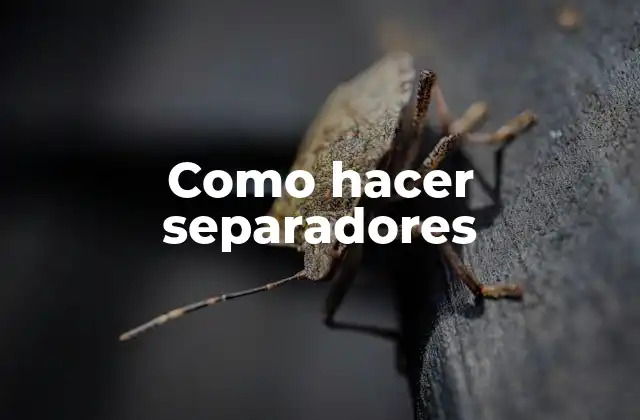 Como Hacer Separadores