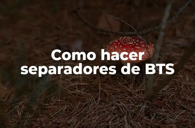Como Hacer Separadores de Bts 2 ¿Qué son los separadores de BTS y para qué sirven?