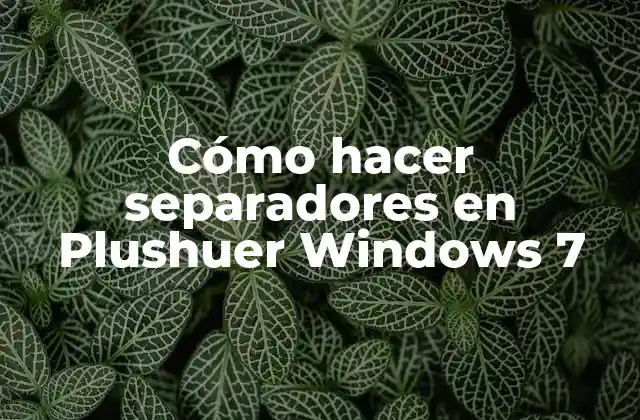 Cómo Hacer Separadores en Plushuer Windows 7