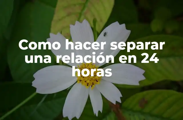 Como Hacer Separar una Relación en 24 Horas