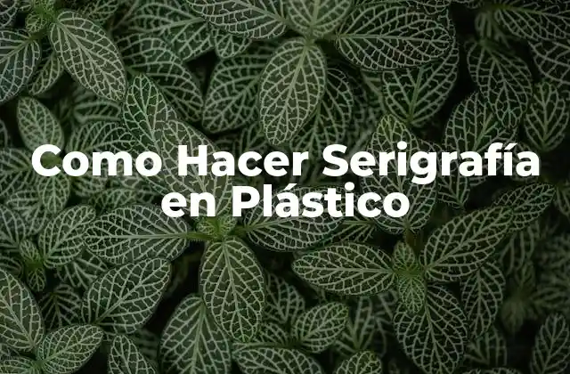 Como Hacer Serigrafía en Plástico 2 Qué es la Serigrafía en Plástico y para Qué Sirve