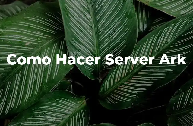 ¿Qué es un Servidor Ark?