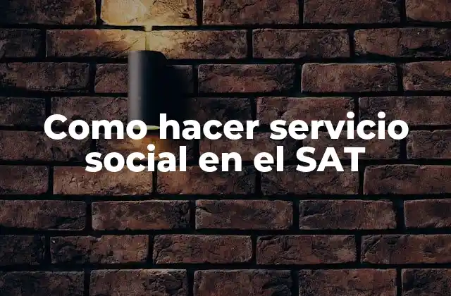 Como Hacer Servicio Social en el Sat