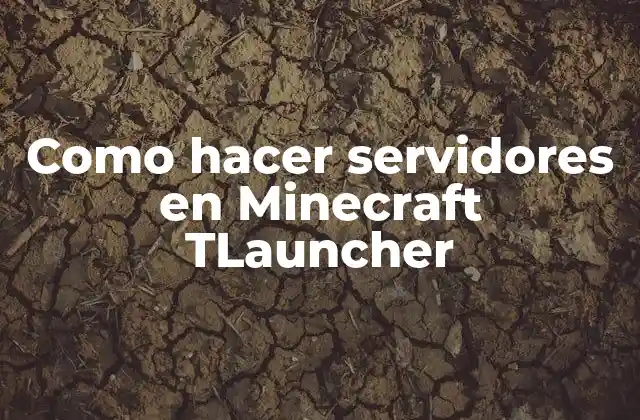Como Hacer Servidores en Minecraft Tlauncher