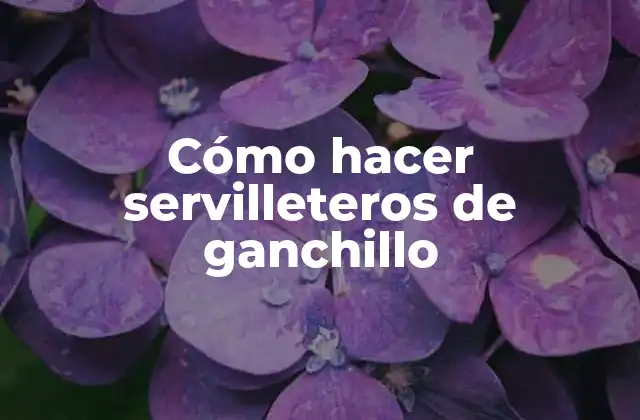 Cómo Hacer Servilleteros de Ganchillo
