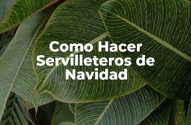 Como Hacer Servilleteros de Navidad