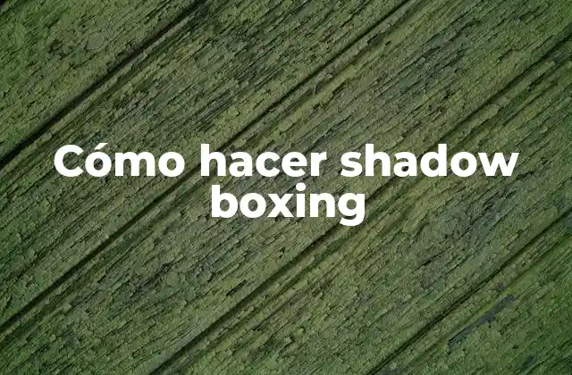 Cómo Hacer Shadow Boxing