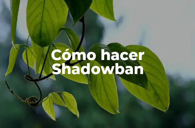 Cómo Hacer Shadowban