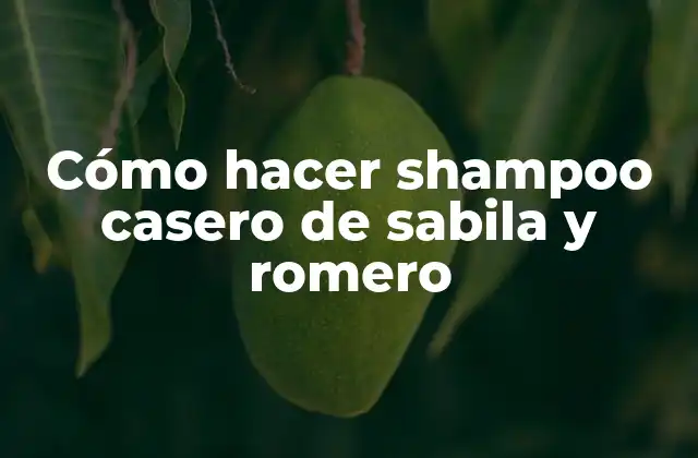 Cómo Hacer Shampoo Casero de Sabila y Romero