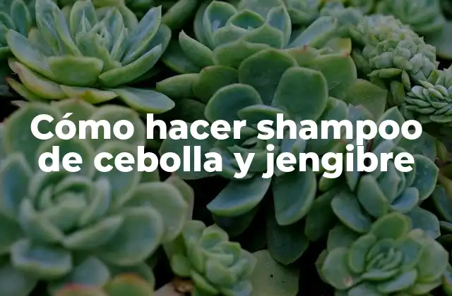 Cómo Hacer Shampoo de Cebolla y Jengibre