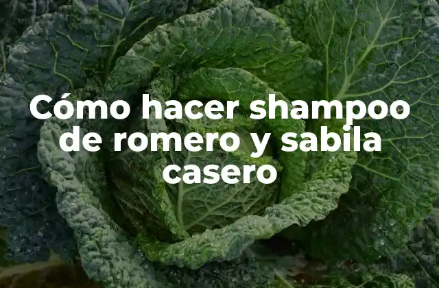 Cómo Hacer Shampoo de Romero y Sabila Casero