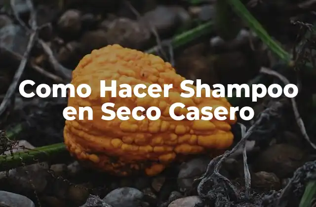 Como Hacer Shampoo en Seco Casero
