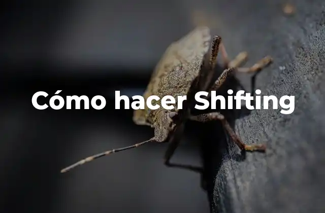Cómo Hacer Shifting