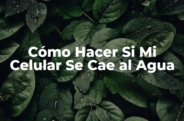 Cómo Hacer Si Mi Celular Se Cae Al Agua