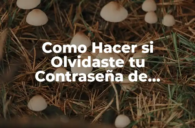 Como Hacer Si Olvidaste Tu Contraseña de Facebook