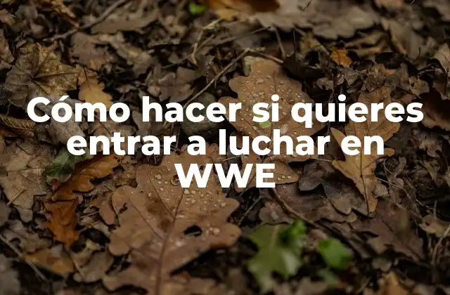 Cómo Hacer Si Quieres Entrar a Luchar en Wwe