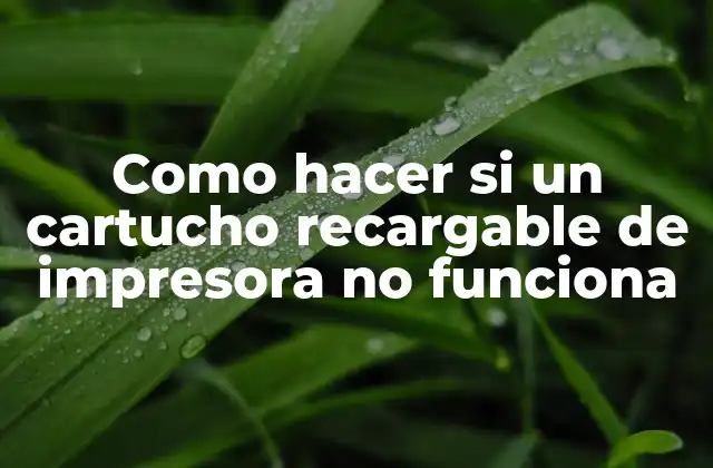 Como Hacer Si un Cartucho Recargable de Impresora No Funciona