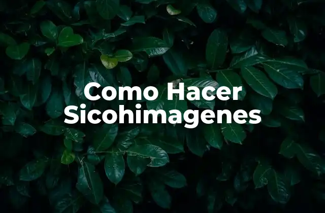 Como Hacer Sicohimagenes 2 ¿Qué son las Sicohimagenes?