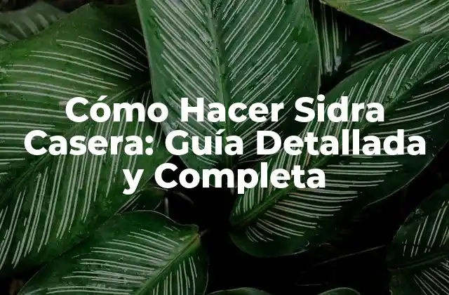 Cómo Hacer Sidra Casera: Guía Detallada y Completa