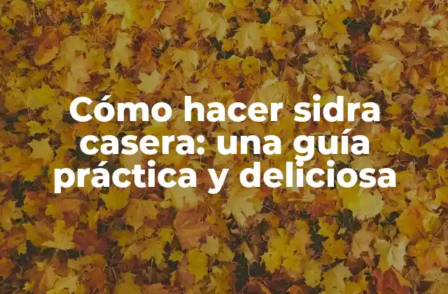 Cómo Hacer Sidra Casera: una Guía Práctica y Deliciosa