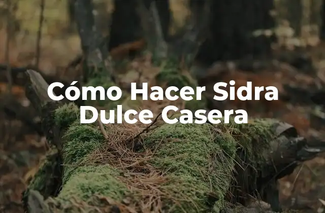 ¿Qué es la Sidra Dulce Casera y Para Qué Sirve?