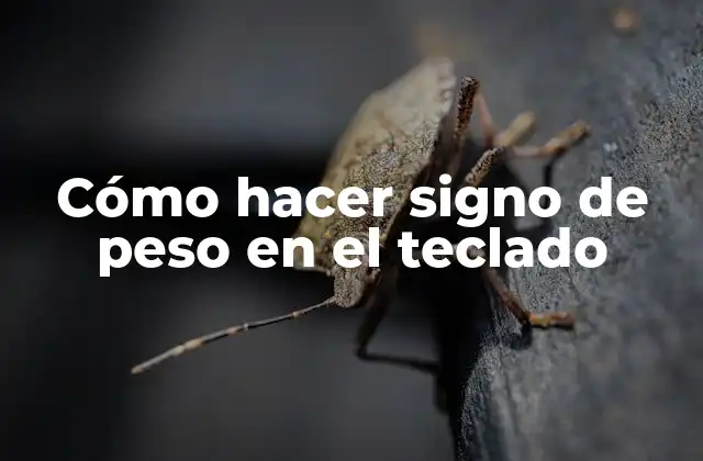 Cómo Hacer Signo de Peso en el Teclado