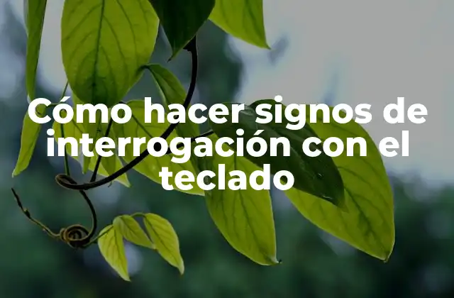 ¿Qué es el signo de interrogación y para qué sirve?