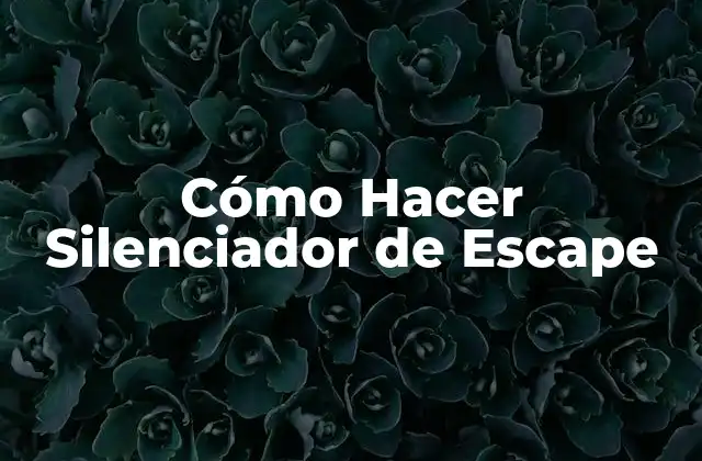 ¿Qué es un Silenciador de Escape y Para Qué Sirve?