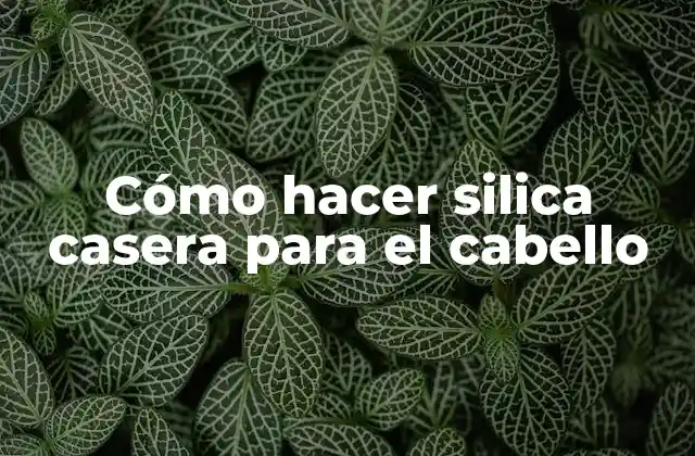Cómo Hacer Silica Casera para el Cabello